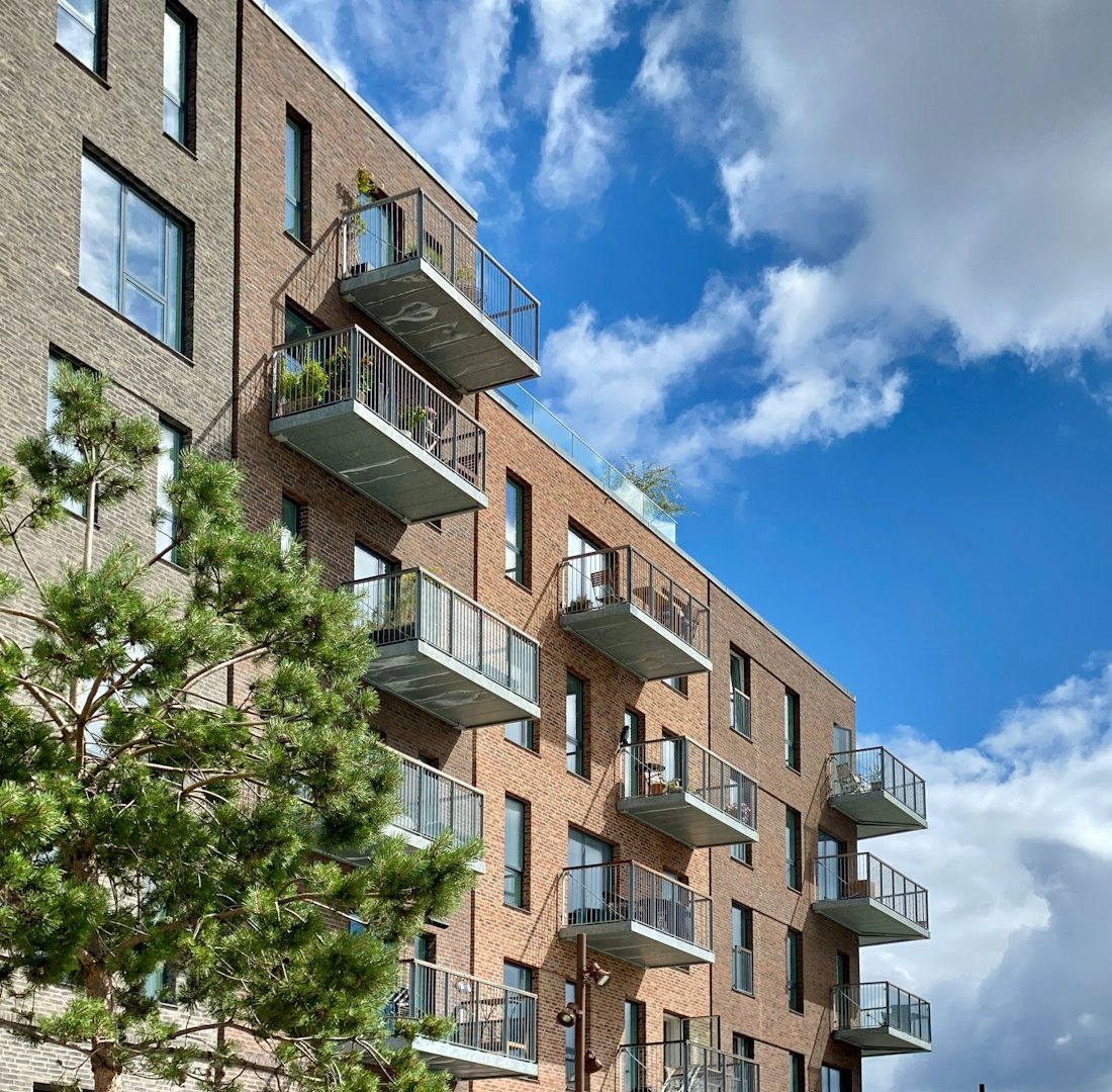 Haus, modern, Garten